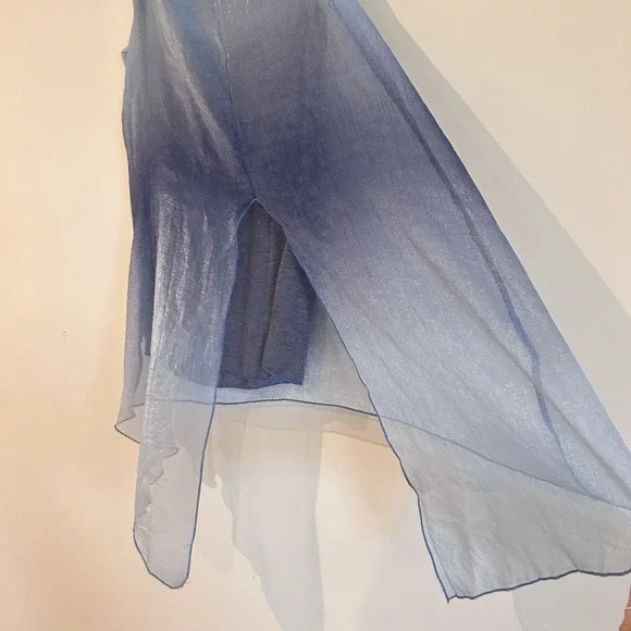 Blue Fairy Sheer Sleeveless Blouse Sz S Asymmetrical Hem Overlay Embroidered - Picture 7 of 12